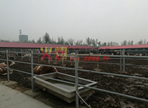 養(yǎng)牛場