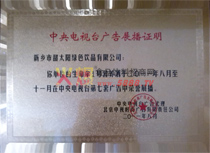 中央電視臺廣告展播證明