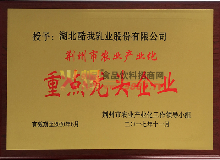 龍頭企業(yè)