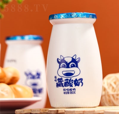 牧牛莊園原味藏酸奶風(fēng)味酸奶招商180g