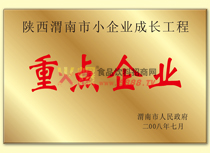 小企業(yè)成長工程重點企業(yè)