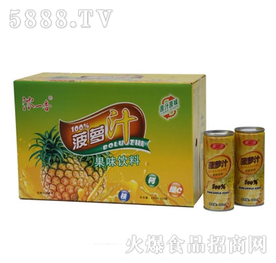 GZ05濃一香高拉罐菠蘿汁規(guī)格1-24-240ml