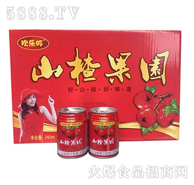 歡樂吟山楂果園240ml