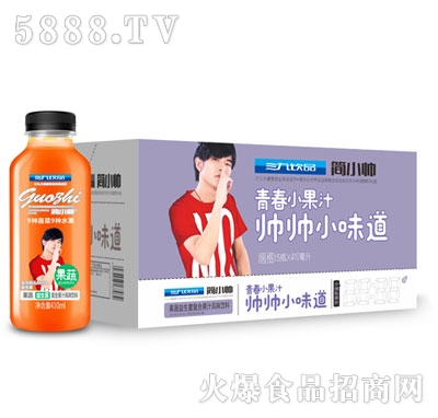 三九飲品果蔬益生菌復(fù)合果汁風(fēng)味飲料410mlx15瓶