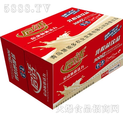 啟活乳酸菌原味330mlx12瓶