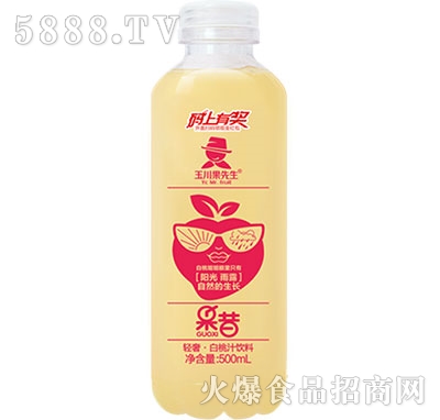 500ml輕奢果昔益生菌果汁白桃汁飲料