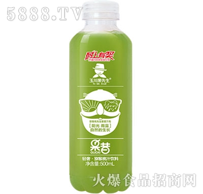 500ml輕奢果昔益生菌果汁獼猴桃汁飲料