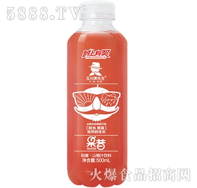 500ml輕奢果昔益生菌果汁山楂汁飲料