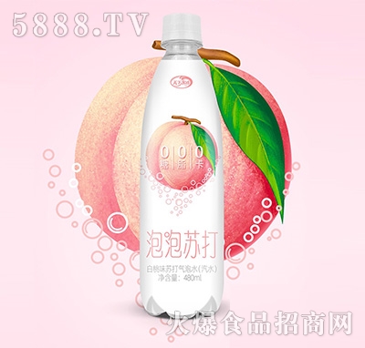 天下水坊泡泡蘇打白桃味蘇打氣泡水480ml