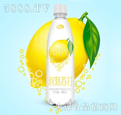 天下水坊泡泡蘇打檸檬味蘇打氣泡水480ml