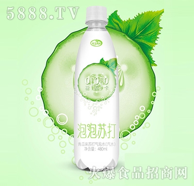 天下水坊泡泡蘇打青瓜味蘇打氣泡水480ml