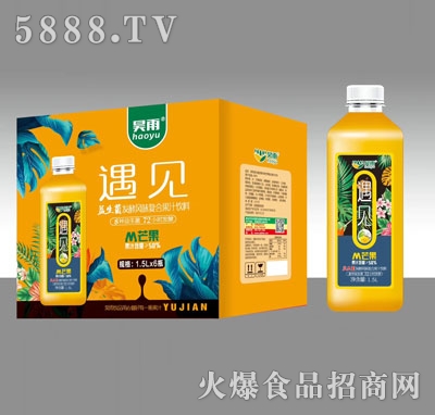 昊雨益生菌發(fā)酵芒果果汁飲料1.5LX6