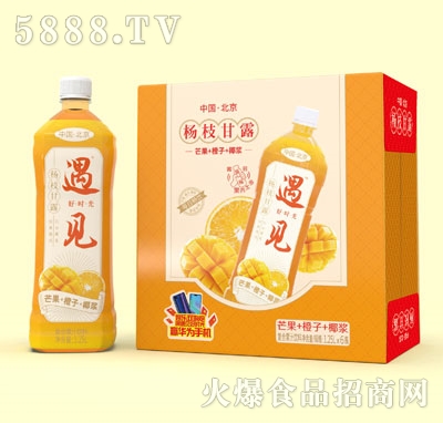遇見(jiàn)楊枝甘露復(fù)合果汁飲料1.25LX6