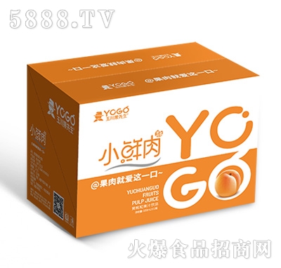小鮮肉500mlx15瓶黃桃粒果汁飲品