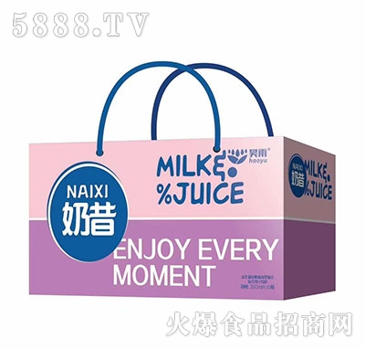 昊雨奶昔藍莓黑加侖復合果汁飲料360ml×10瓶