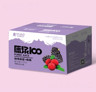 玉川果先生楊梅桑葚+椰果復合果汁飲料500mlX15
