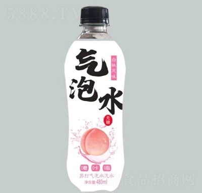 LζKˮˮ480ml