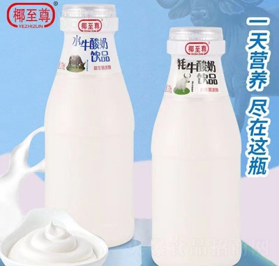 椰至尊牦牛酸奶飲品益生菌發(fā)酵招商代理