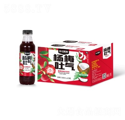 500ml×15玉川果園椰肉楊梅汁果汁飲料招商代理