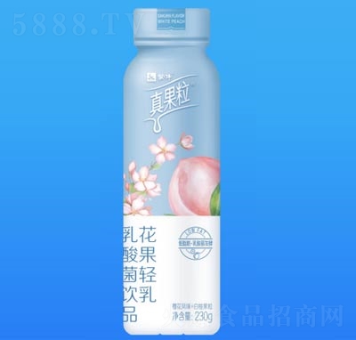 蒙牛真果?；üp乳乳酸菌飲品櫻花白桃味230g