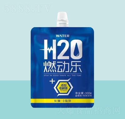 燃動樂藍(lán)莓味風(fēng)味飲料300g