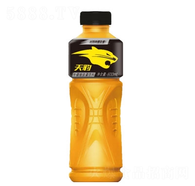 ţ600ml
