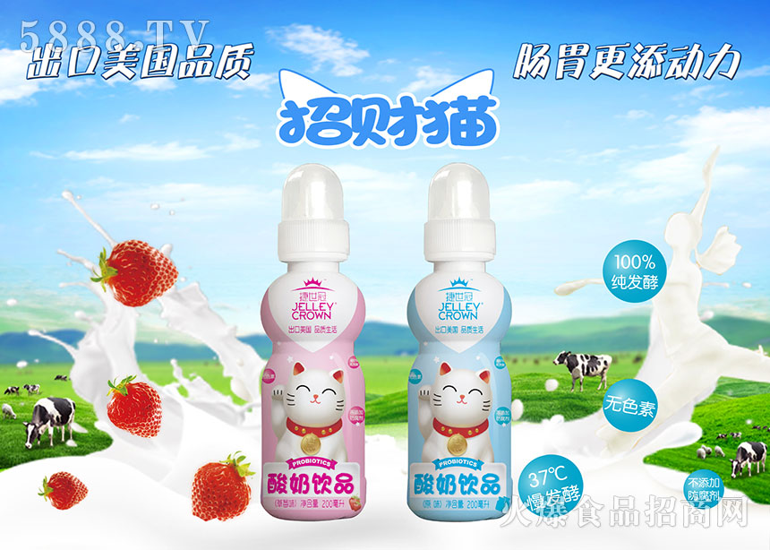 招財(cái)貓