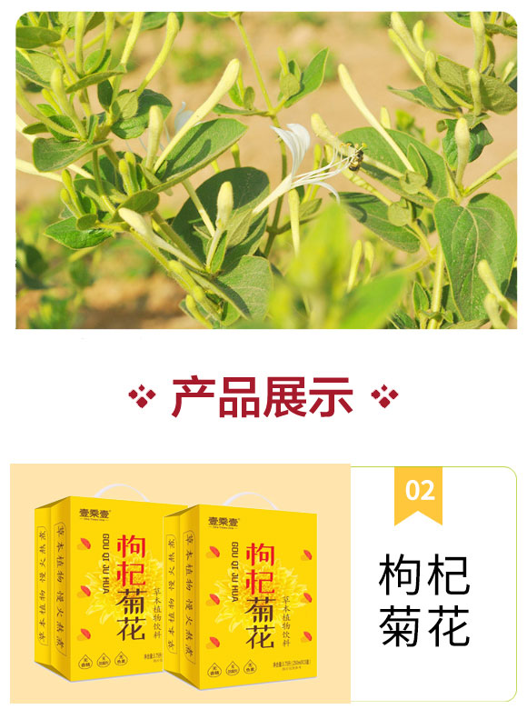 簡(jiǎn)愛(ài)菊花_04 簡(jiǎn)愛(ài)菊花_04