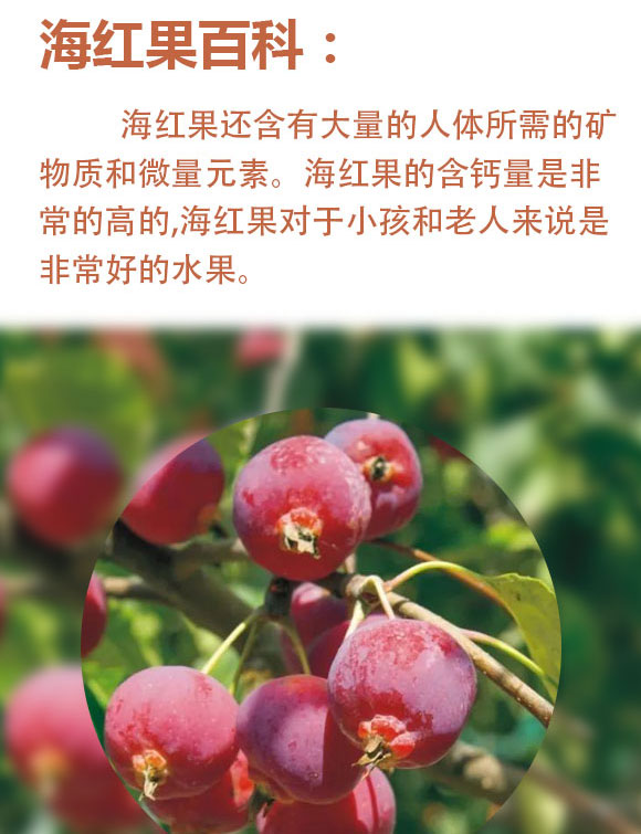 山西海紅樹食品有限公司-紅色易拉罐_02 山西海紅樹食品有限公司-紅色易拉罐_02